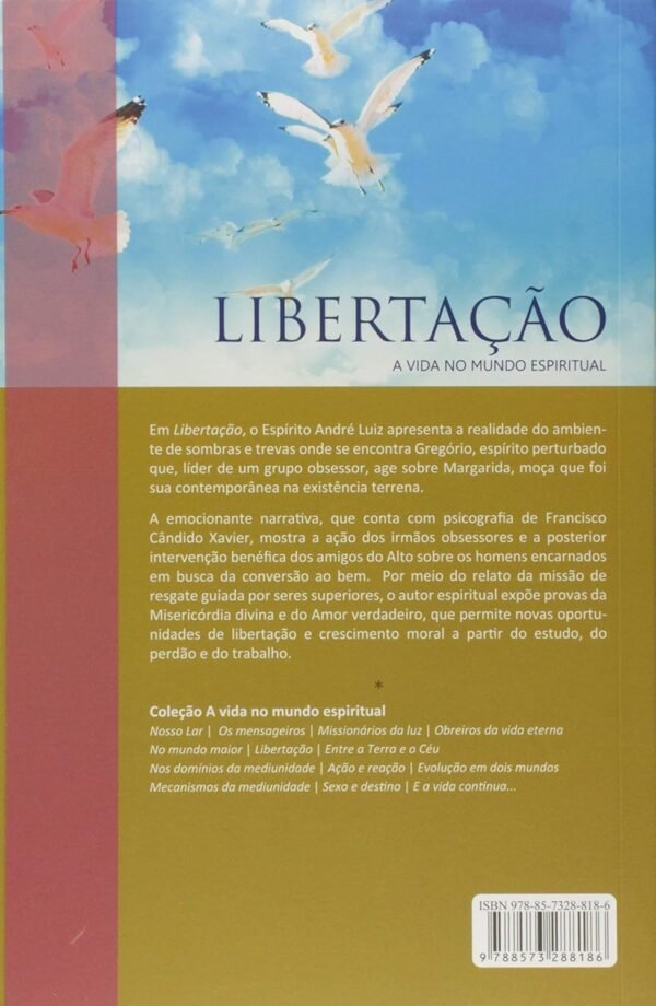 Libertação - Coleção A Vida no Mundo Espiritual - Vol. 6 - Imagem 2