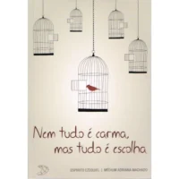 Nem Tudo é Carma, Mas Tudo é Escolha