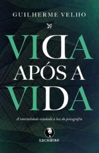 Vida após a vida